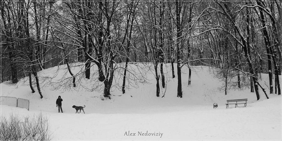Дама с собачкой ;) - © 2010 Alex Nedoviziy