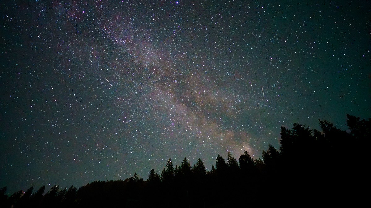 Чумацький шлях. 2025.