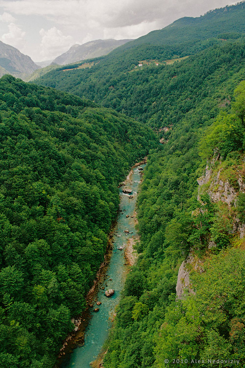 Каньон реки Тары, Черногория © 2010 Alex Nedoviziy