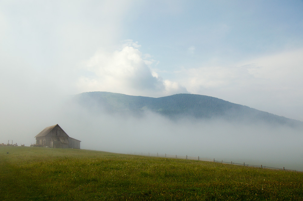 Романтика ранкового туману © 2013 Alex Nedovizii